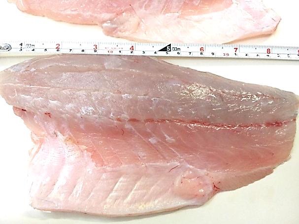 Barramundi Fillet