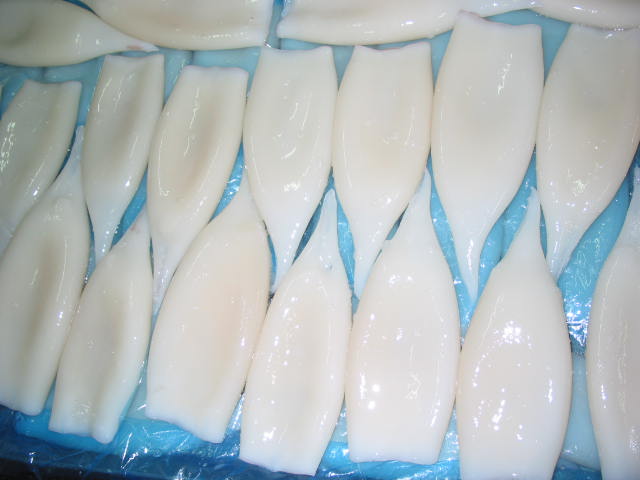 	Squid Tubes