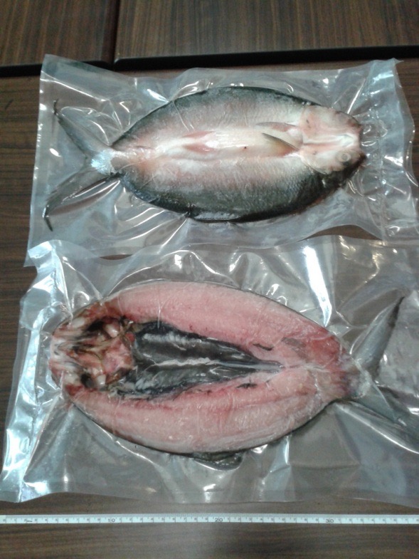 	Milkfish Butterfly