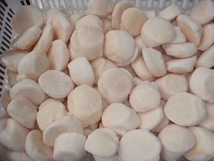 	Frozen Bay Scallop
